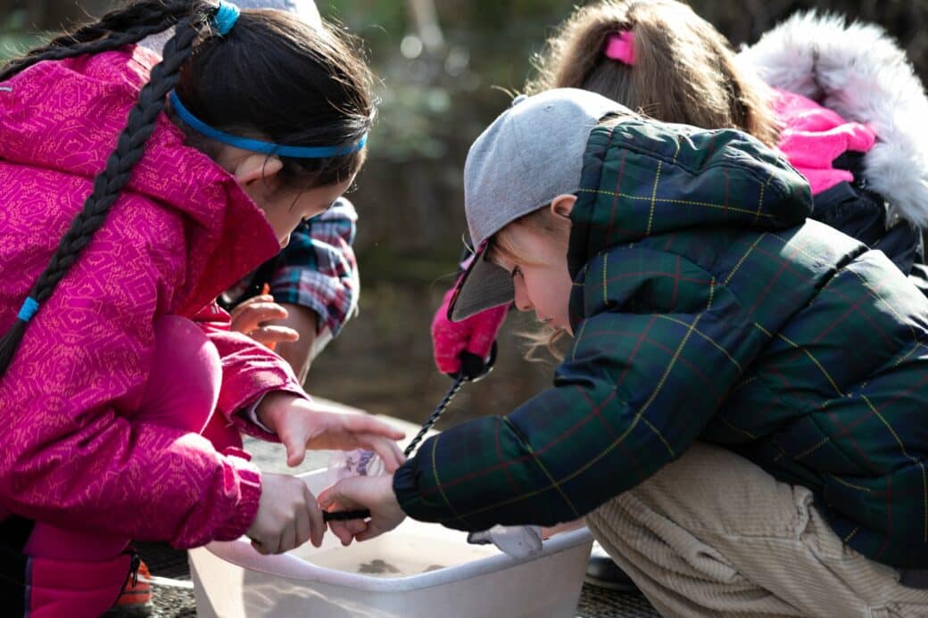 Columbia Springs Outdoor Educational Programs for Elementary Students